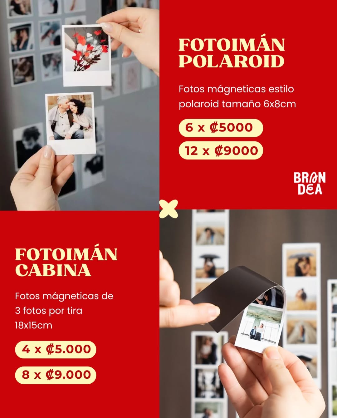 Catálogo 7